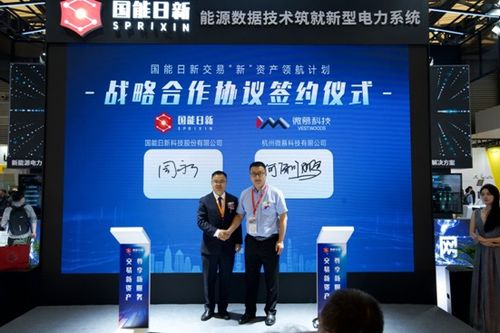 国能日新启动全新资产计划，聚焦新兴能源技术研发